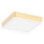 Argon ATLANTIS 4051 Plafonjera 1x32W/LED 3000K 3900LM IP20