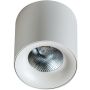 AZzardo MANE AZ4152 Natkriveno downlight svjetlo 1x20W/LED 3000K IP20