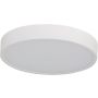 Azzardo PANDINO AZ6583 Plafonjera 1x23w/led 2800k/4000k/5400k 1518lm ip44