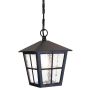 Elstead Lighting CANTERBURY BL48M-BLACK Visilica 1x60W/E27 IP43