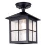 Elstead Lighting WINCHESTER BL18A-BLACK Plafonjera 1x60W/E27 IP43