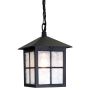 Elstead Lighting WINCHESTER BL18B-BLACK Visilica 1x60W/E27 IP43