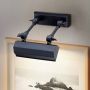 Elstead Lighting CHAWTON CHAWTON-PLS-BLK Slikarska svjetiljka 1x40W/E14