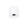 Italux ALTISMA CLN-6677-95-WH-3K Natkriveno downlight svjetlo 1x15W/LED 3000k 1650LM IP20