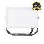 Eko Light FLOODLIGHT EKN9015 Halogenka 1x30W/LED 5000K 3000lm IP65