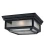 Feiss SHEPHERD FE-SHEPHERD-F Plafonjera 2x75W/E27 IP44