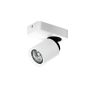 AZzardo TOMI AZ0662 Reflektor 1x50W/GU10