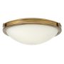 Hinkley Lighting COLLIER HK-COLLIER-F-M Plafonjera 3x60W/E27