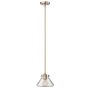 Hinkley Lighting CONGRESS HK-CONGRESS-P-A-BC Visilica 1x60W/E27