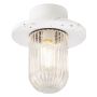 Nordlux JANUKA 2115006063 Stropna svjetiljka 1x60W/E27 IP54
