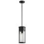 Kichler Camillo KL-CAMILLO-P-TBK Visilica 1x60W/E27 IP44