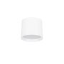 Luces Exclusivas BRENAS LE44391 Natkriveno downlight svjetlo 1x10W/led 3000k IP20 550lm