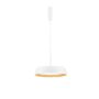 Luces Exclusivas CARACOLLO LE44813 Visilica 1x40W/led 3000k IP20 3111lm