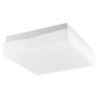 Nova Luce CUBE 6110041 Stropna svjetiljka IP44