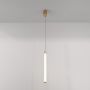 Maytoni RAY P022PL-L20G3K Visilica 1x20W/LED 3000K 2600LM IP20