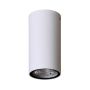 Italux Fano OPN-2002-4K Natkriveno downlight svjetlo 1x3W/LED 4000K 255lm IP54