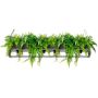 King Home SEMIRA INDUSTRIAL OSW001005 Visilica 6x40W/E27 IP20