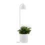 Kaspa BOTANICA XL 40848101 Podna svjetiljka 1x9W/GU10 IP20