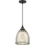 Quoizel PICCOLO QZS-QPP2818K Visilica 1x60W/E27