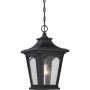 Quoizel BEDFORD QZ-BEDFORD8-S Visilica 1x60W/E27 IP44
