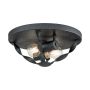Quoizel Bradbury QZ-BRADBURY-F-GK plafon sufitowy 2x60W/E14  