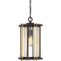 Quoizel GOLDENROD QZ-GOLDENROD8-M Visilica 1x60W/E27 IP23