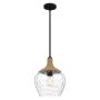 Quoizel Royer QZ-ROYER-1P-MBK lampa wisząca 1x60W/E27 IP20
