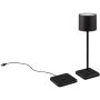 Trio FERNANDEZ R54096132 Stolna svjetiljka 1x1w/led 2700+4000+6000K 130lm ip54