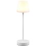 Trio MARTINEZ R54086131 Stolna svjetiljka 1x2w/led 2700-6500K 250lm ip44
