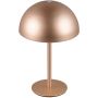 Trio MUNOZ R54891165 Stolna svjetiljka 1x1.3w/led 3000k 120lm ip20