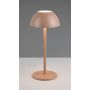 Trio RICARDO R54106165 Stolna svjetiljka 1x2w/led 3000k 240lm ip54
