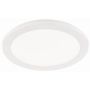 Trio CAMILLUS R62921501 Stropna svjetiljka 1x15w/led 3000k 1350lm ip44