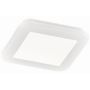 Trio CAMILLUS R62931001 Stropna svjetiljka 1x10w/led 3000k 850lm ip44
