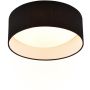 Trio LOCARNO R64191102 Stropna svjetiljka 1x12w/led 3000K 1160lm ip20