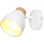 Trio VALENTIN R81921731 Reflektor 1x10w/e14 ip20