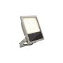SLV FLOODLIGHT 1008909 Halogenka 1x100W/LED 3000K 16300lm|23850lm|30800lm