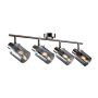 Italux Sardo SPL-5581-4-SC-SG Reflektor 4x40W/E14 IP20
