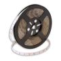 SMD LED PROline TAS4182SLL LED traka 60x6W/m/LED 3000K 650 lm/m IP66