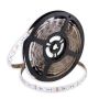 SMD LED PROline TAS4298SLL LED traka 60x14,4W/m/LED RGB IP20
