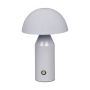 Italux Dorbia TB-83647-GR Stolna svjetiljka 1x2W/LED 3000-6500K 45lm IP20