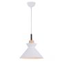 Zambelis PENDANT LAMP 180066 Visilica 1x40w/E27 IP20