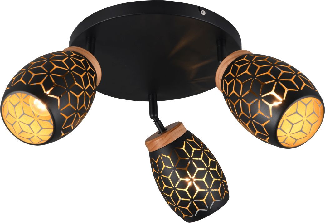 TRIO-BIDAR-R61573380-TRIR61573380