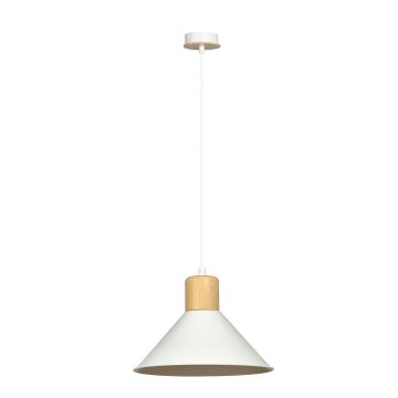 Emibig ROWEN 1045/1 Visilica 1x15W/E27 IP20