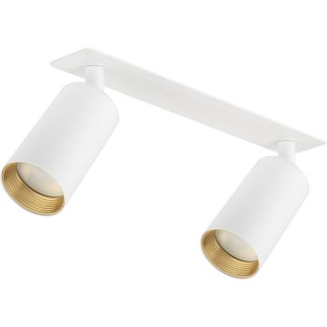 TK Lighting AMIS 10811 Reflektor 2x10W/GU10 IP20