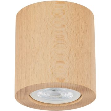TK Lighting EVE 10121 Natkriveno downlight svjetlo 1x10W/GU10 IP20