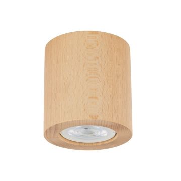 TK Lighting EVE 10121 Natkriveno downlight svjetlo 1x10W/GU10 IP20