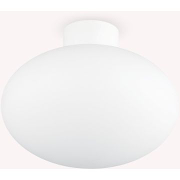 Ideal Lux CLIO 148847 Stropna svjetiljka 1x42W/E27 ip44