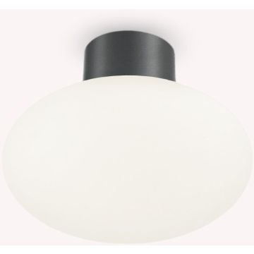 Ideal Lux CLIO 148861 Stropna svjetiljka 1x42W/E27 ip44