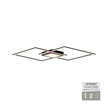 Paul Neuhaus ASMIN 14695-18 Plafonjera 1x45W/LED 3000K 2980LM IP20