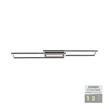 Paul Neuhaus ASMIN 14696-18 Plafonjera 1x45W/LED 3000K 2900LM IP20